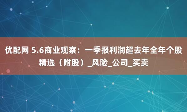 优配网 5.6商业观察：一季报利润超去年全年个股精选（附股）_风险_公司_买卖