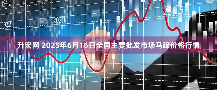 升宏网 2025年6月16日全国主要批发市场马蹄价格行情