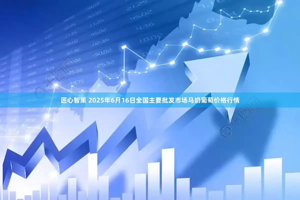 匠心智策 2025年6月16日全国主要批发市场马奶葡萄价格行情