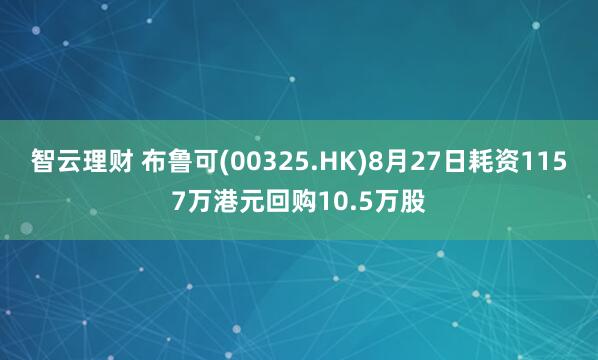 智云理财 布鲁可(00325.HK)8月27日耗资1157万港元回购10.5万股