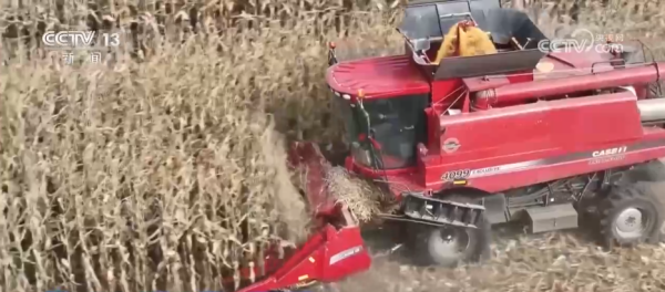 易倍策略 厘米级精度收割、“农田哨兵”应用……秋收“科技范儿”为粮食安全注入新动能